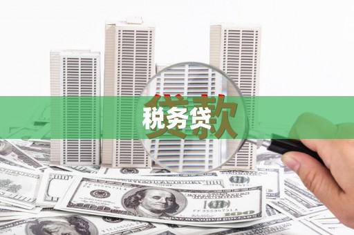 蒲城税务贷