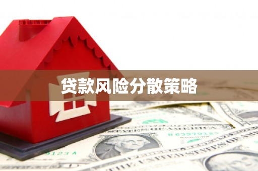 新店贷款风险分散策略