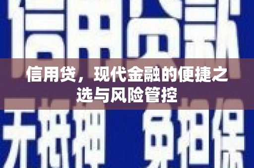 金台信用贷，现代金融的便捷之选与风险管控