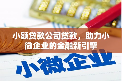 景德镇小额贷款公司贷款，助力小微企业的金融新引擎