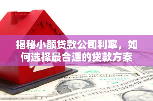 淇滨揭秘小额贷款公司利率，如何选择最合适的贷款方案