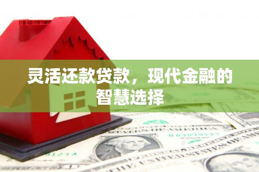 富民灵活还款贷款，现代金融的智慧选择