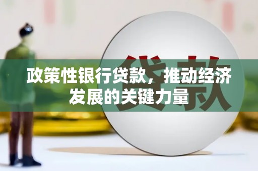 彝良政策性银行贷款，推动经济发展的关键力量