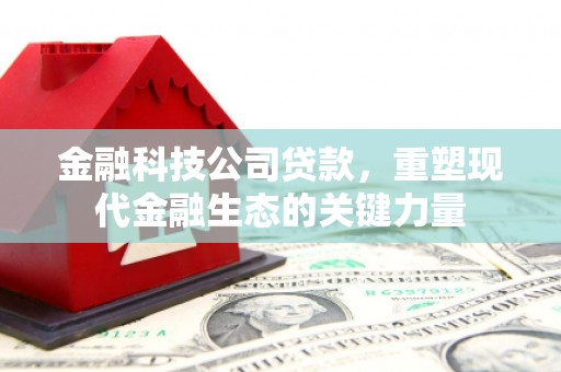 道县金融科技公司贷款，重塑现代金融生态的关键力量