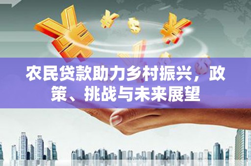 卧龙农民贷款助力乡村振兴，政策、挑战与未来展望