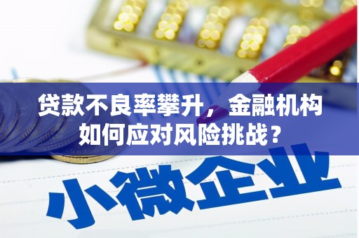 浦北贷款不良率攀升，金融机构如何应对风险挑战？