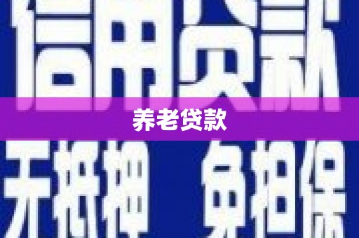 河西养老贷款