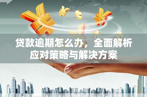 罗东贷款逾期怎么办，全面解析应对策略与解决方案