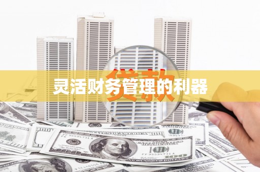 绥阳灵活财务管理的利器