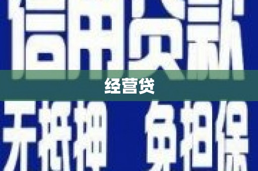 丰县经营贷