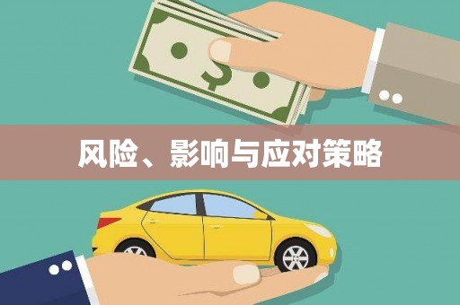 岳麓风险、影响与应对策略