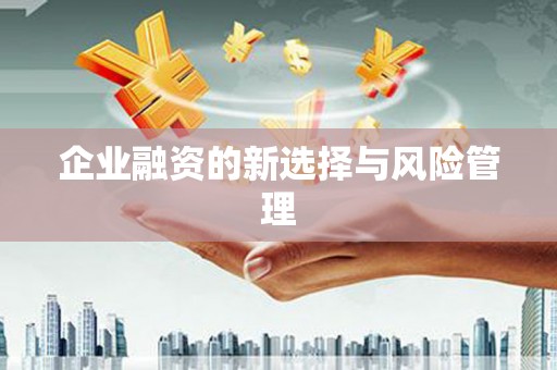 东乌旗企业融资的新选择与风险管理