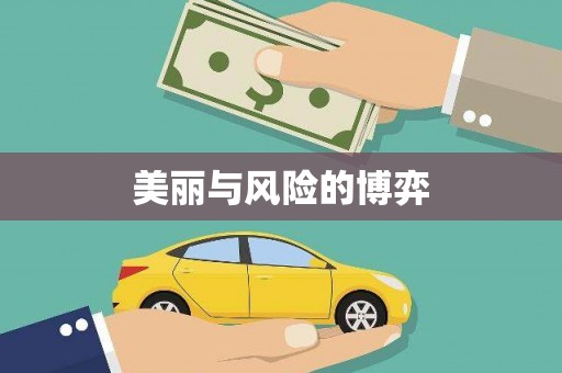 西夏美丽与风险的博弈