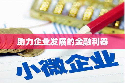 岳塘助力企业发展的金融利器