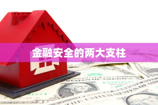 宣威金融安全的两大支柱