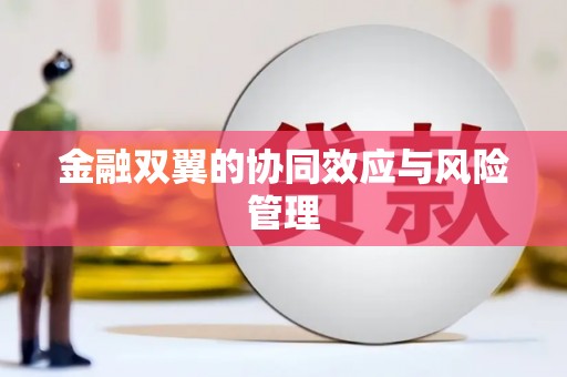 万全金融双翼的协同效应与风险管理