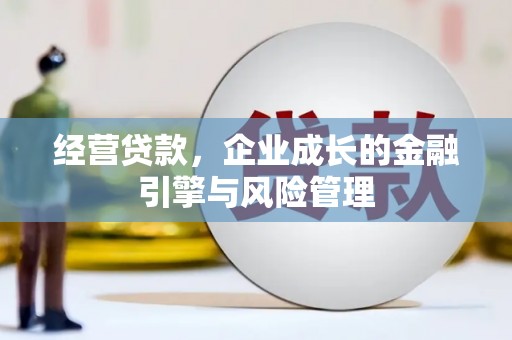 彝良经营贷款，企业成长的金融引擎与风险管理